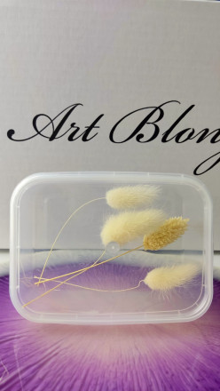 Сухоцветы №10