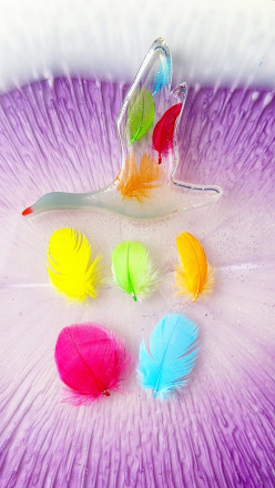 Набор перьев 