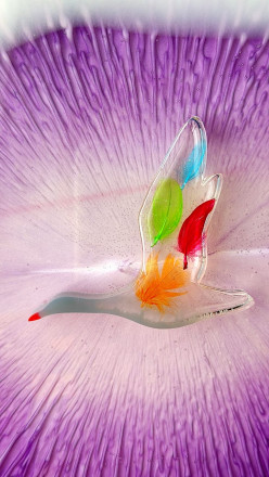 Набор перьев 