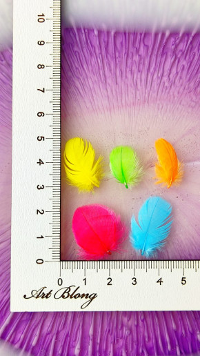 Набор перьев Набор перьев