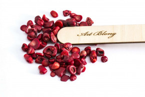 №10 Red coral Large fraction  Коралл 