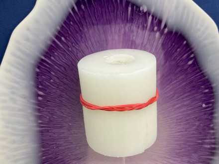 №908 Пион 2 шт 