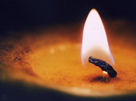 №31 Хлопковый фитиль 8 см (1 шт) №31 Хлопковый фитиль 8 см (1 шт)