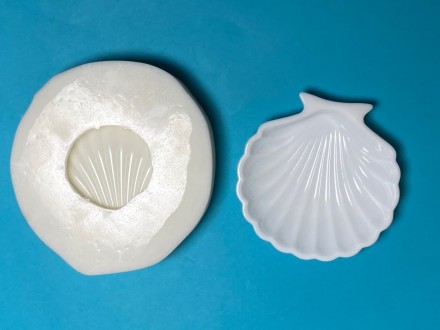 №507 Ракушка 