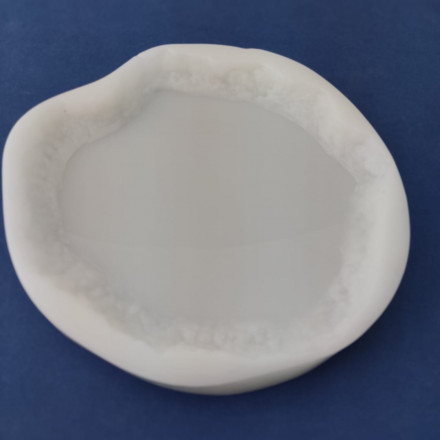 № 662 Coaster with "live" edge by @vnutriart (Mould)