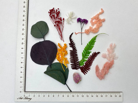 Сухоцветы №1