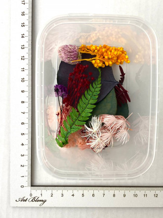 Сухоцветы №1