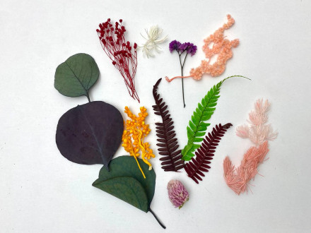 Сухоцветы №1