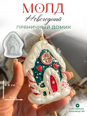 №196 Молд Дом