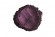 №5 Pearl pigment Purple Violet