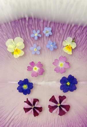 Сухоцветы №7